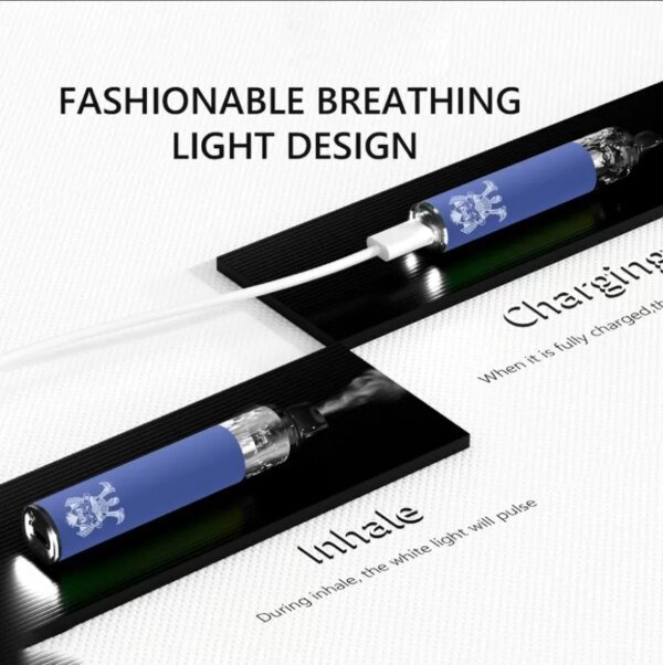 將軍s disposable bars