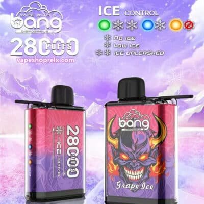 BANG28000口霧化棒